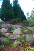 Natural Boulders